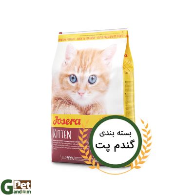 گندم پت- غذای خشک گربه